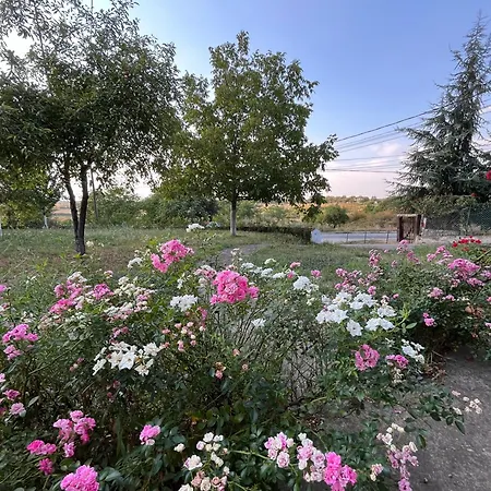 Camping Serbia - *