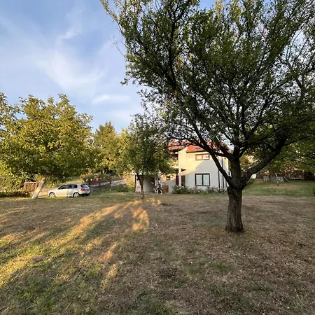 Camping Serbia - Campsite