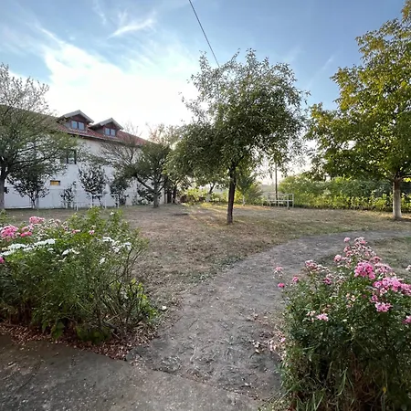 Camping Serbia - Kamp alanı